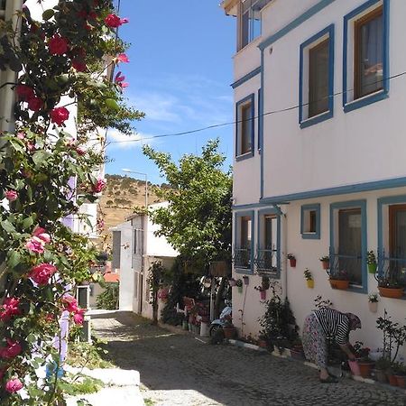 Adali Guest House บอซจาดา ภายนอก รูปภาพ